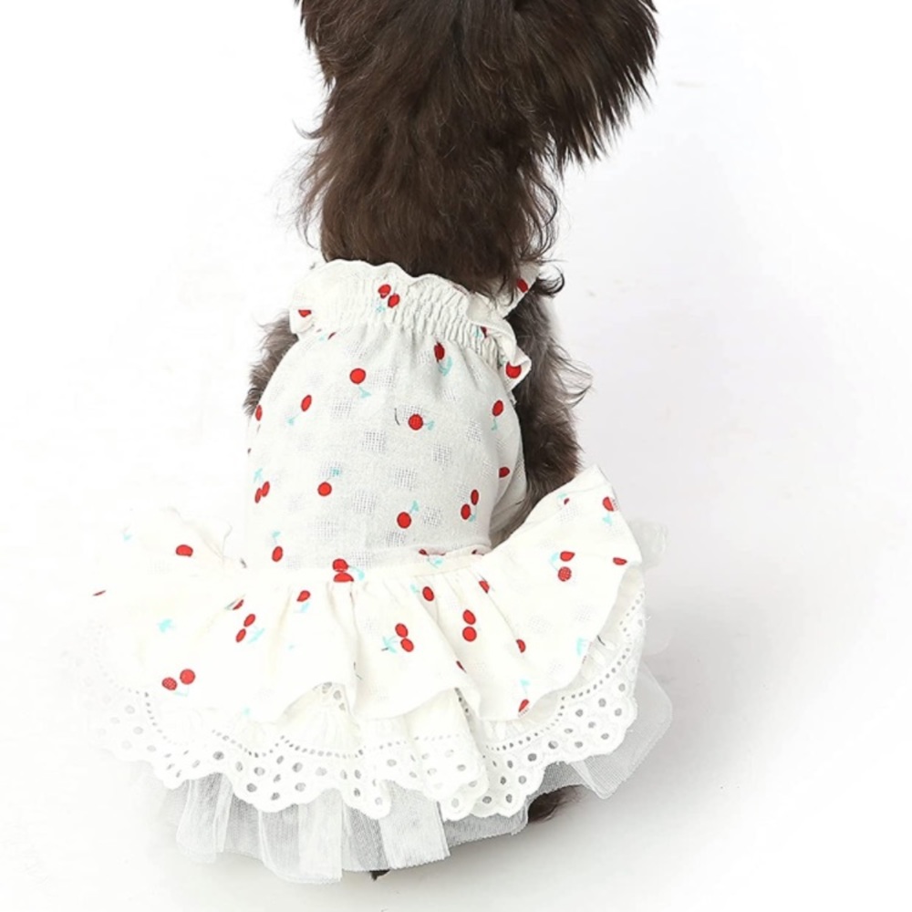 Cherry Print Dog Dress